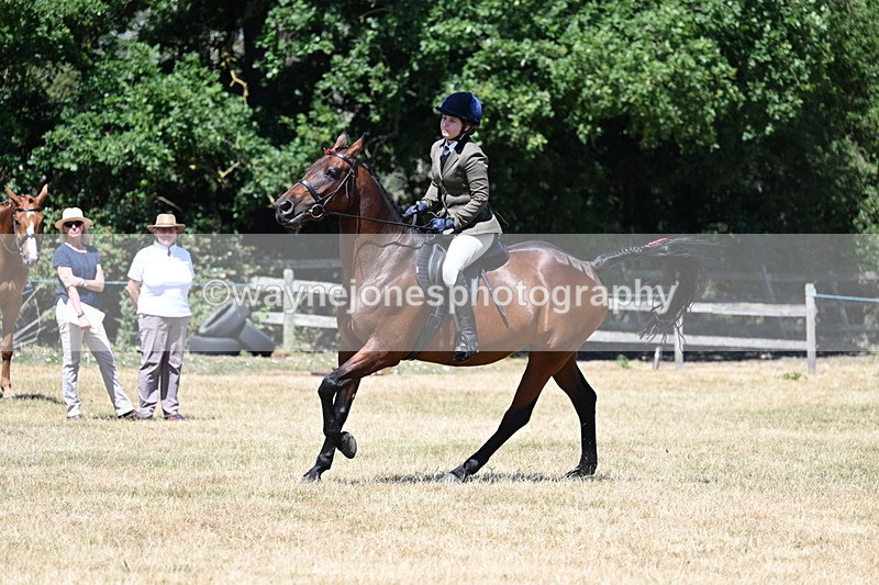 WJ7_3122 - Class 7 Riding Club Show Horse