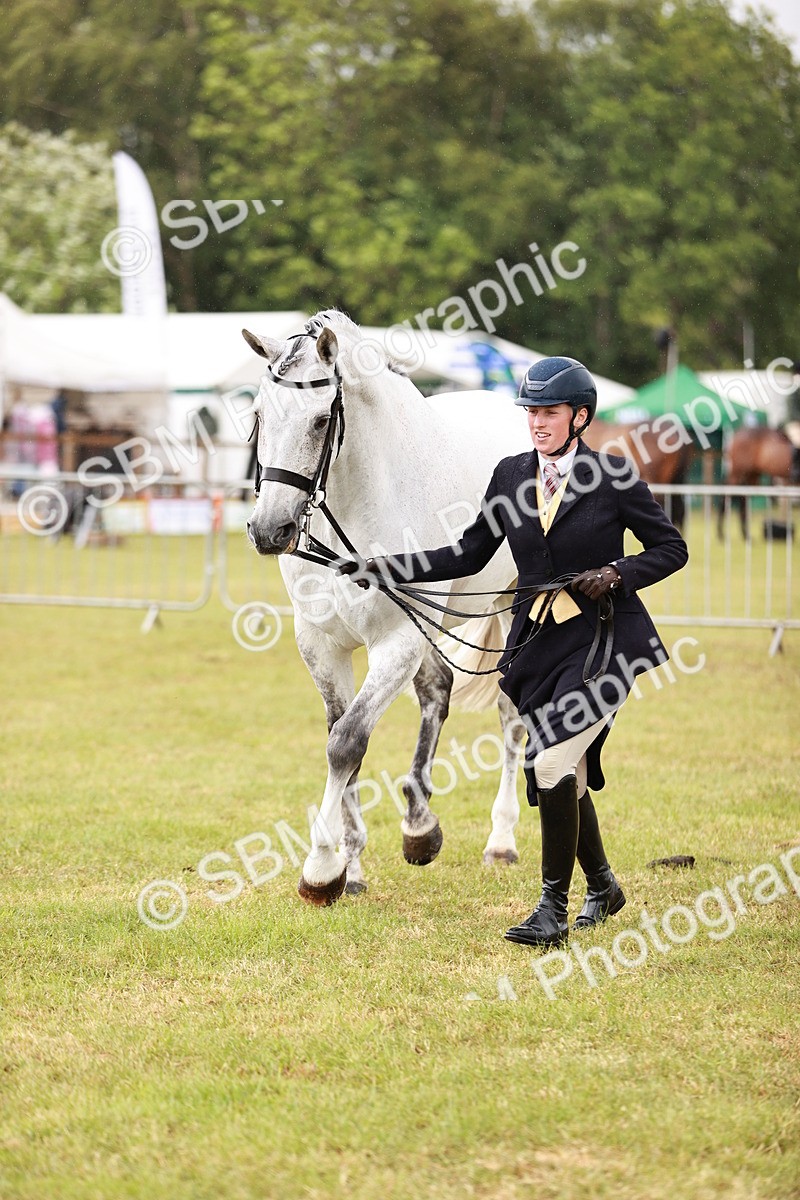 SBM_10999 - Class 81-84 - RIHS Ridden hunters Inc Ladies Hunter