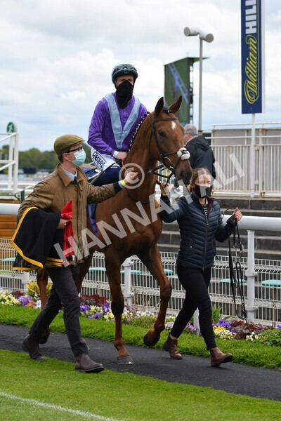 yr22052021r2-14 - Race 2 2.40pm William Hill Brontë Cup