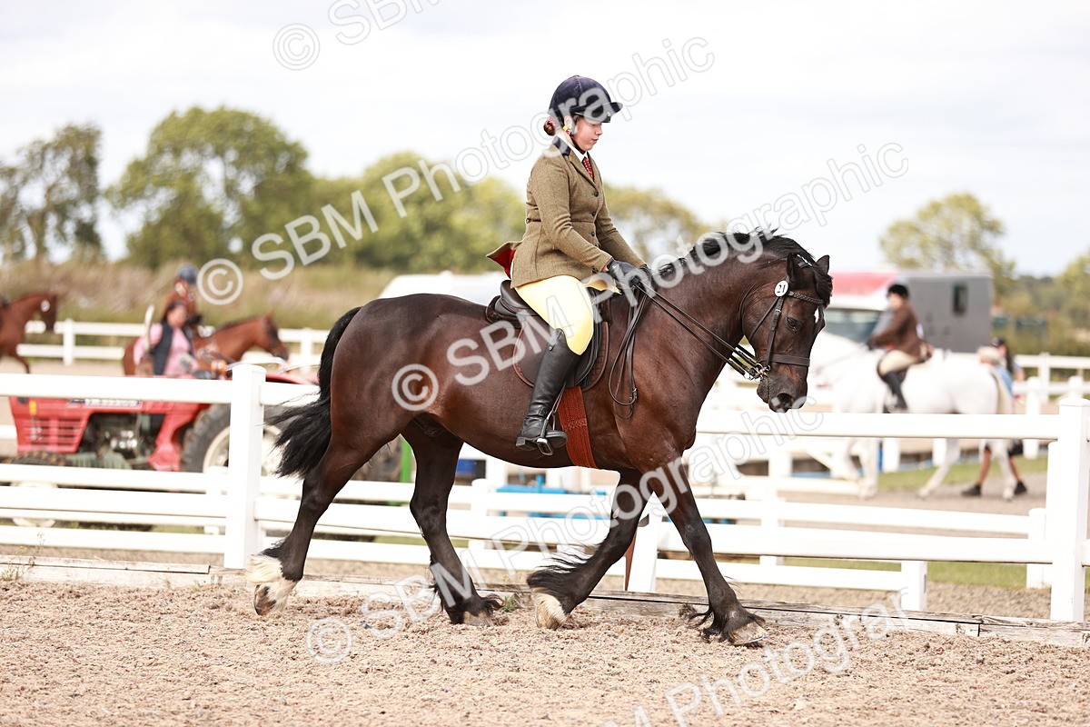 SBM_18377 - Class 418 - Best Condition - Jnr