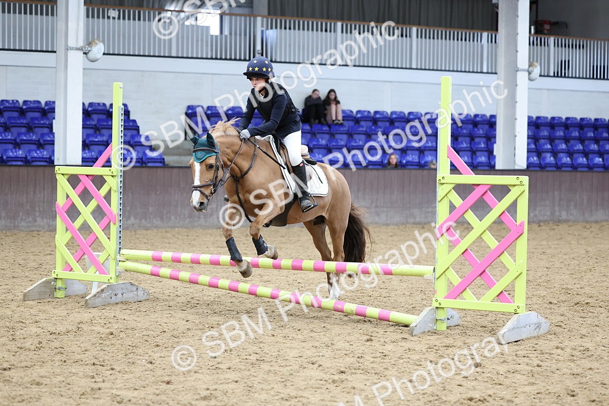 SBM_007705 - Class 3 - 60cm showjumping