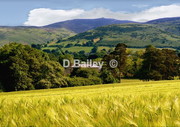 Moel Famau -Clwydian Range - Mixture A4