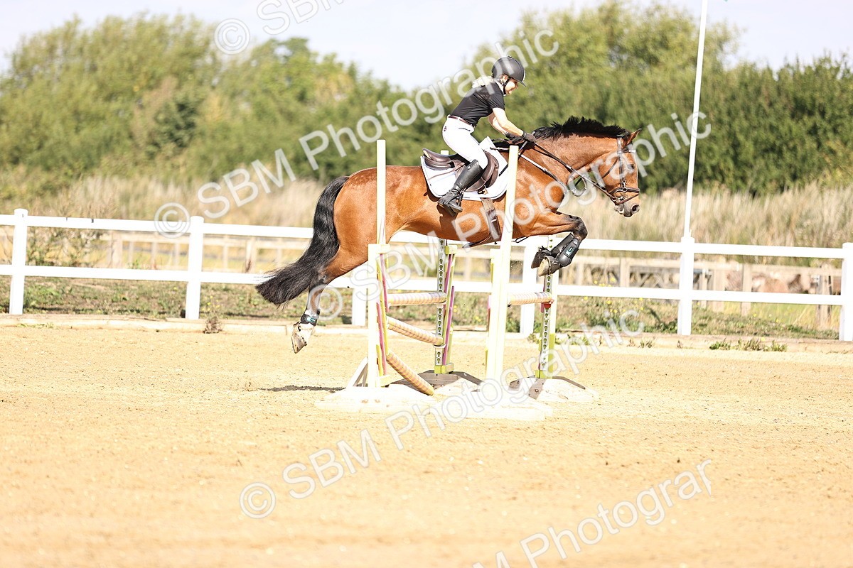 SBM_005722 - Class 9 - Senior British Novice - 90cm