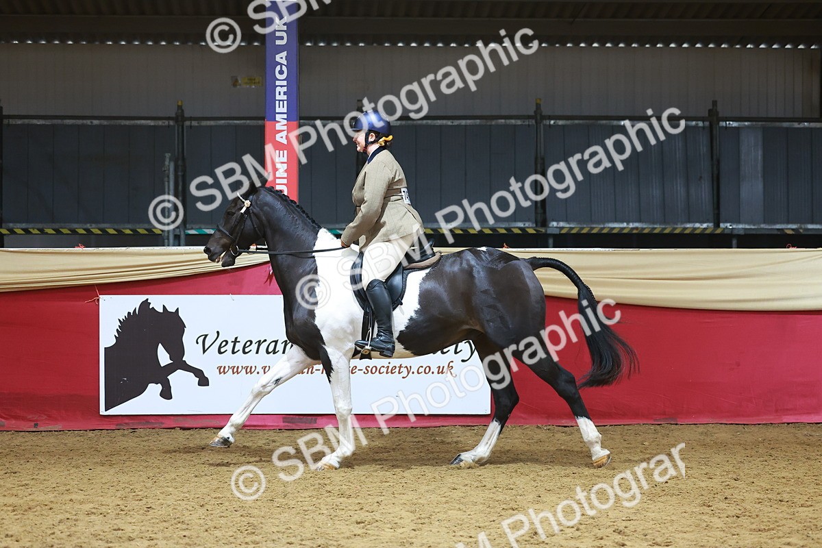 SBM_09654 - Class 102 - HOYS Veteran Qualifier - Ridden Veteran