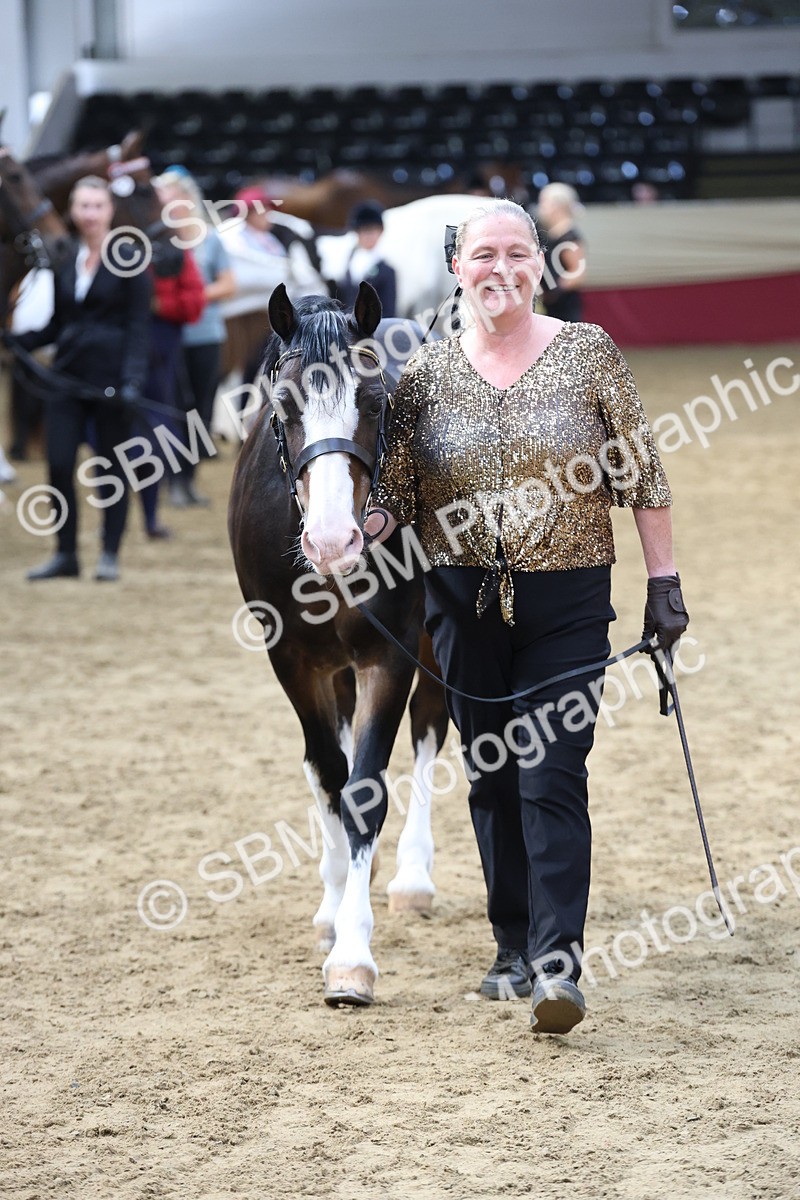 SBM_22542 - Class 902 - Supreme Final - IH Diamond