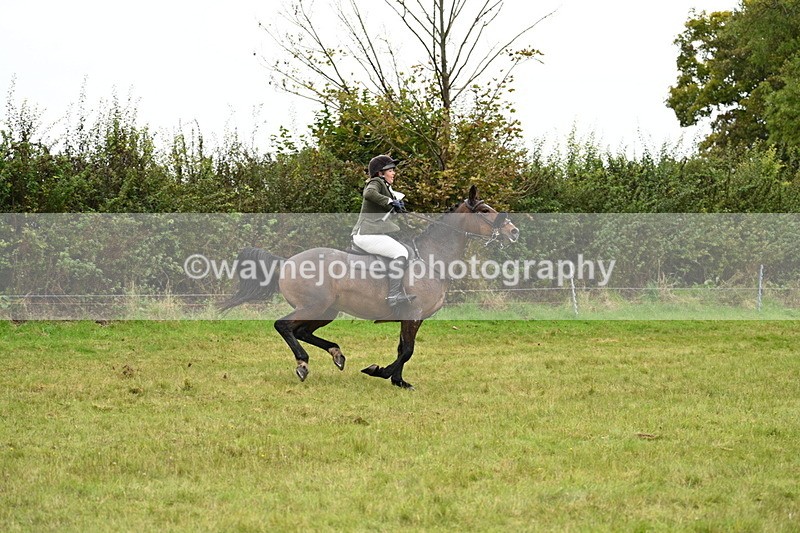 WJ7_4277 - Camera 1 Line 2