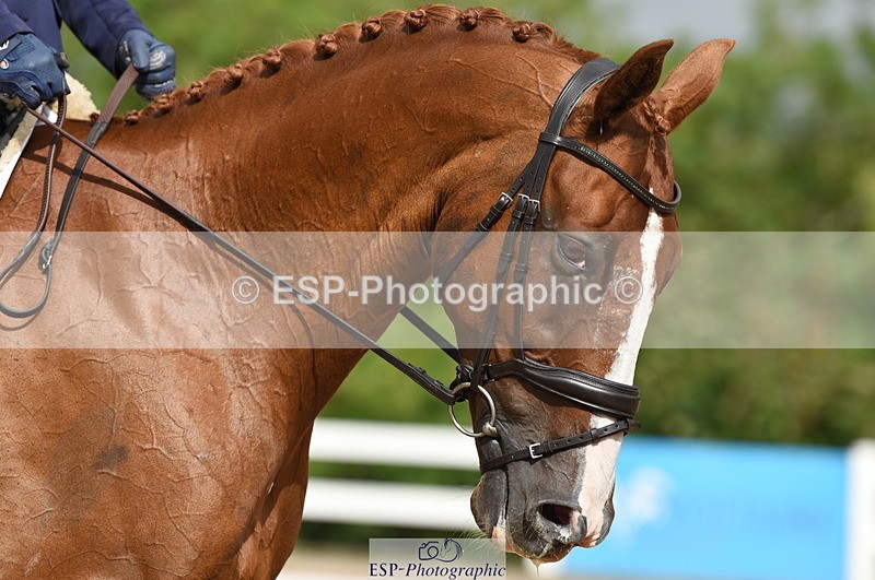 230912A-111352-00547 - Cls 7 Elementary 40