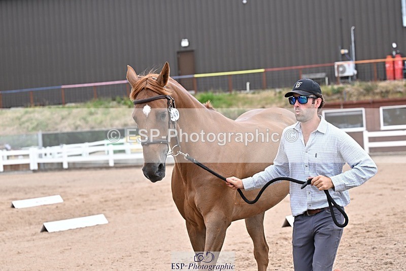 250716-134157-00644 - Trot Up 1.30 to 2.30