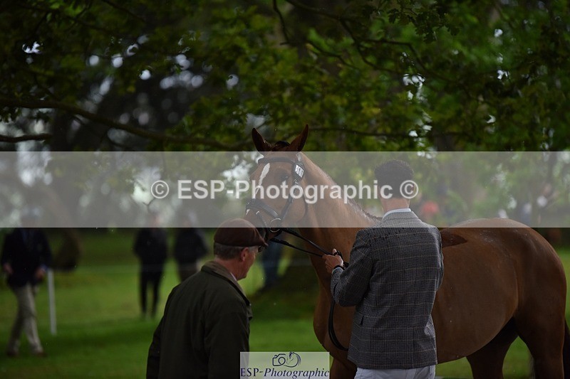 240522-150916-00125 - 311-CAMEE_DE_MUZE-Will_Rawlin