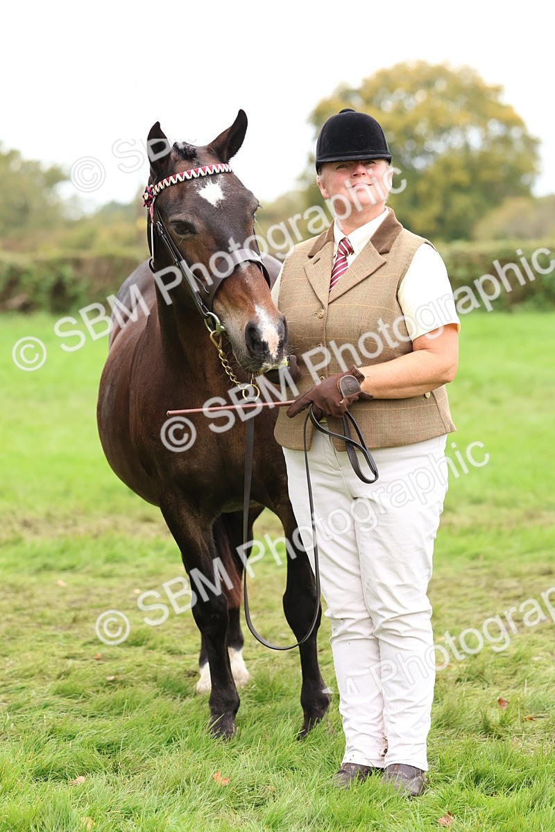 SBM_41740 - S26 - Mature Veteran In Hand