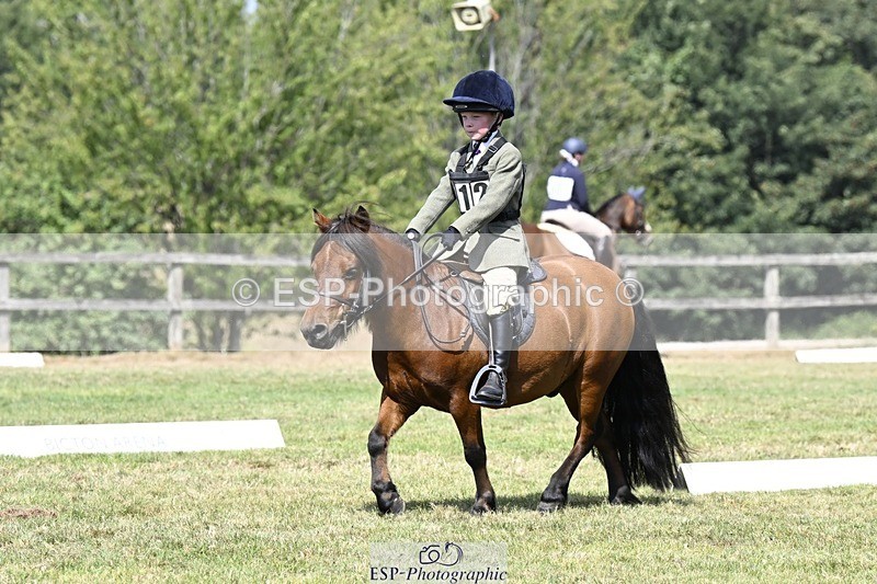 250822A-115822-22496 - DR 11.00 to 12.00