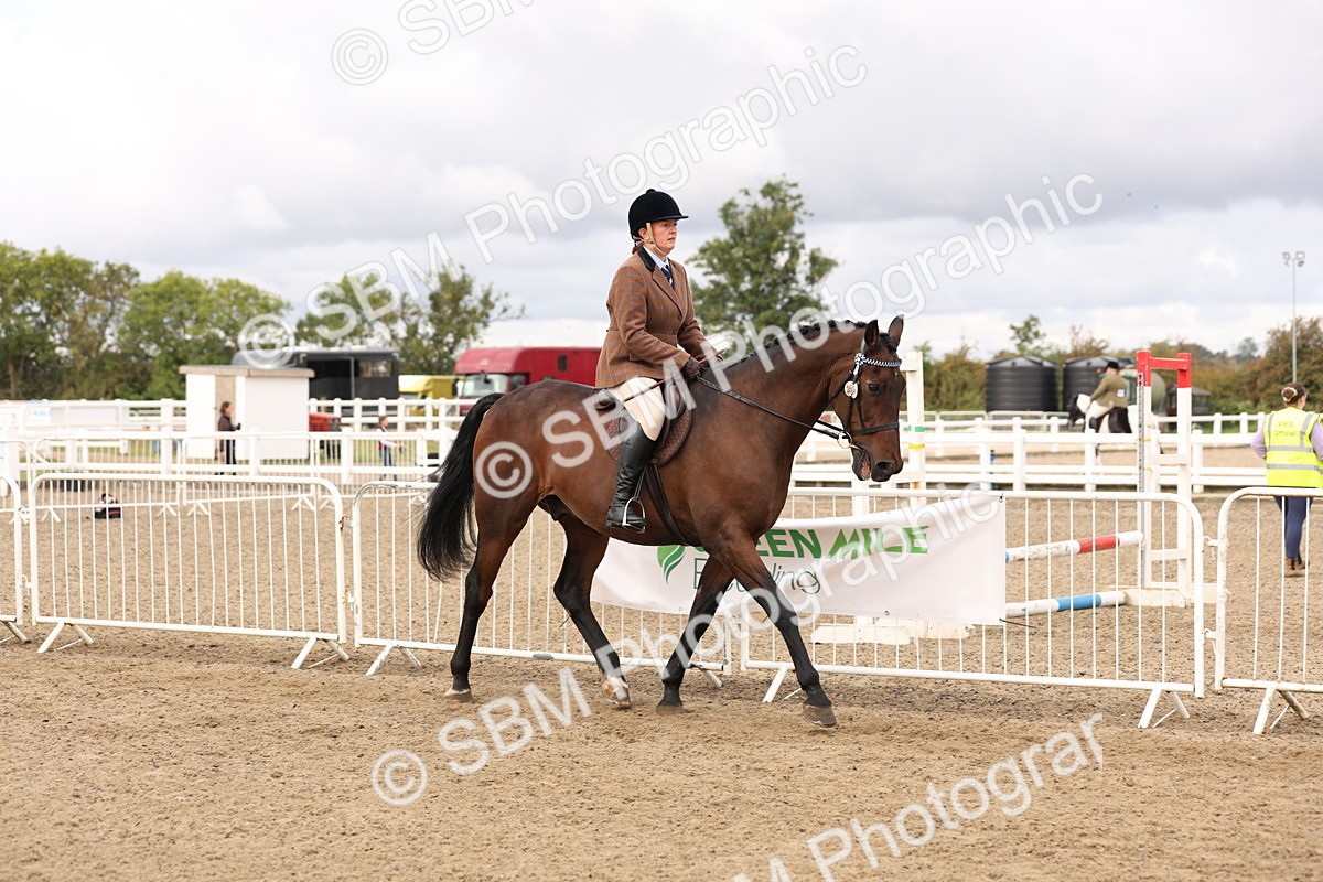SBM_02810 - Class 53 - Ridden Competition Horse/Pony