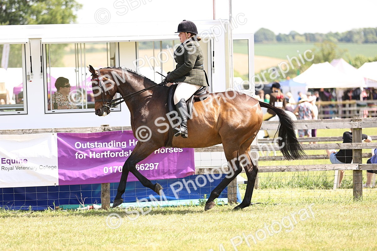 SBM_14892 - Class 78 - LIHS BSHA Open Racehorse & Show Horse