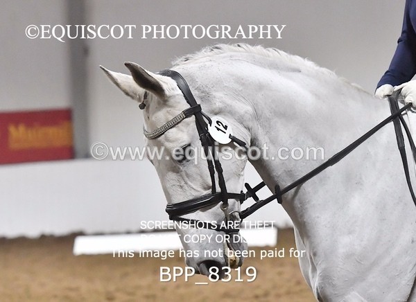 BPP_8319 - NOVICE 6 UNAFF