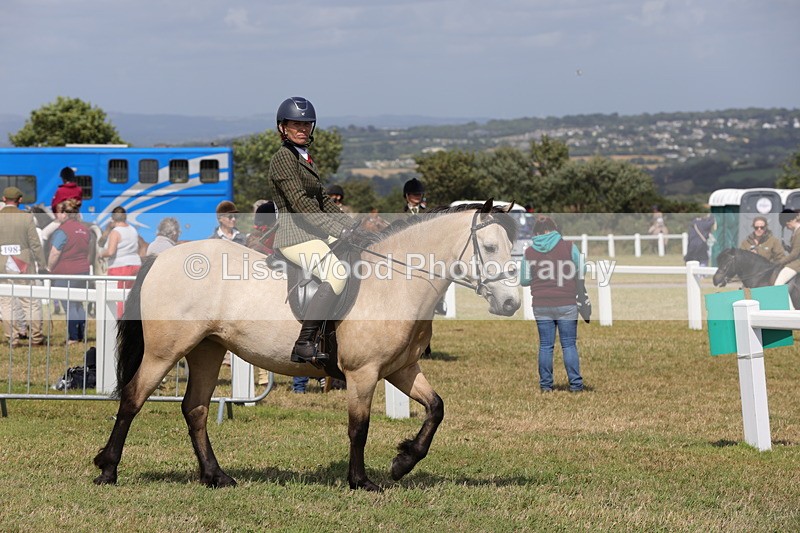 1X9A5520 - Class 38: NPS Novice Ridden Small and Large Breeds