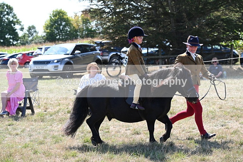 WJ6_7728 - Class 36 Lead Rein