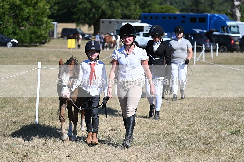WJ7_1848 - Class 43 Best Six Legs (In hand)