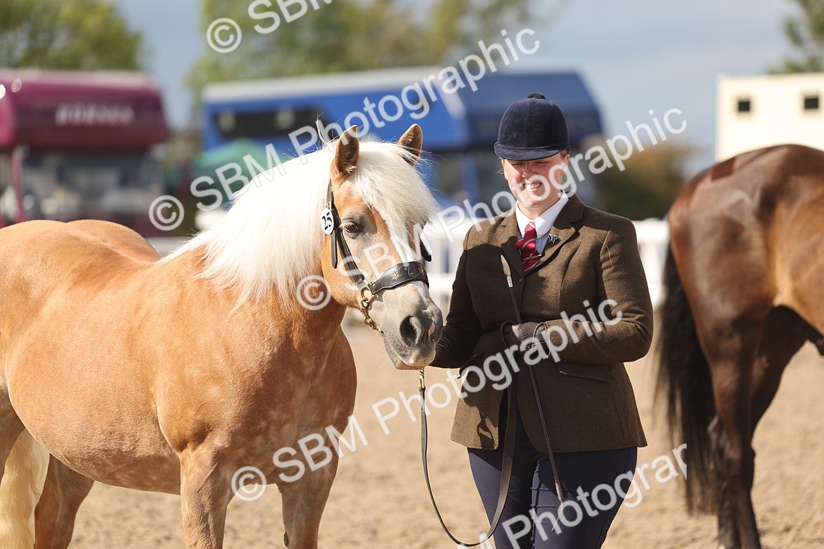 SBM_06873 - Class 25 - IH Foreign Breeds - Purebred