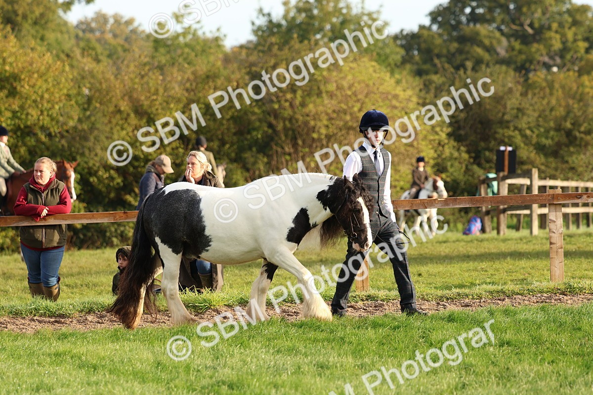 SBM_54772 - S39 - Starters In Hand Showing