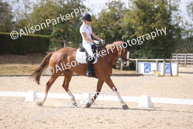 20260815-1142 - Class 6 - Novice 2
