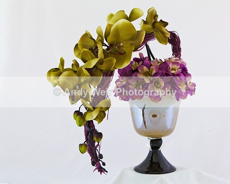 280810_0370 - Miscellaneous Photographs