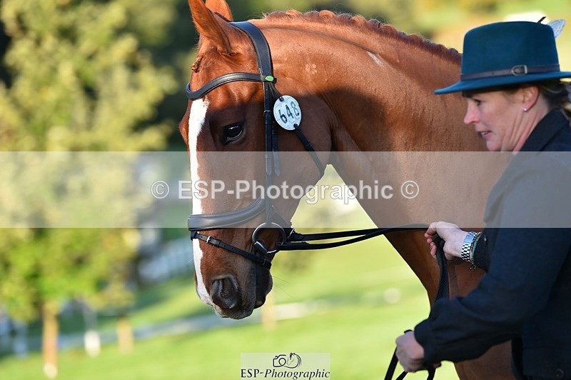 231022-085310-21426 - 648-FRIARSHILL.CHARLES-Caroline.Wilkinson-TrotUp+SJ