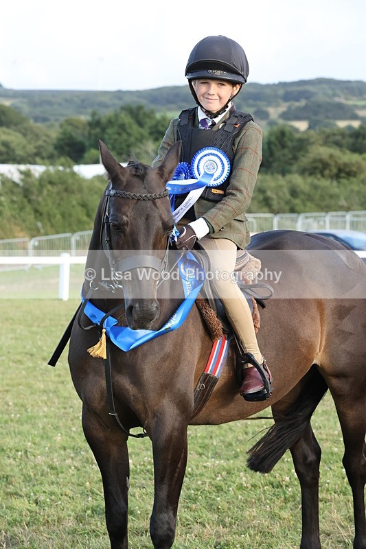 JPP_3782 - Working Hunter Championship