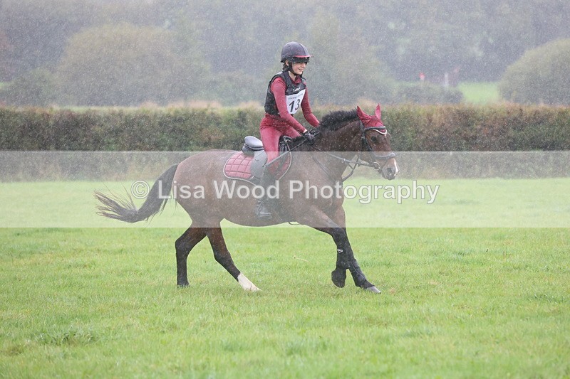 JPP_5061 - Class 1: 65cm : Showjumping