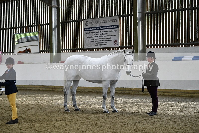 WJ5_3967 - Class 2 Best Condition In hand