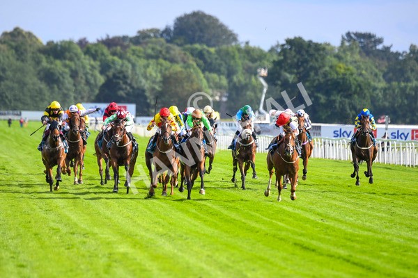 280723-Race 2-Quest For Fun-0183 - Race 2 5.30pm eventmasters.co.uk Handicap