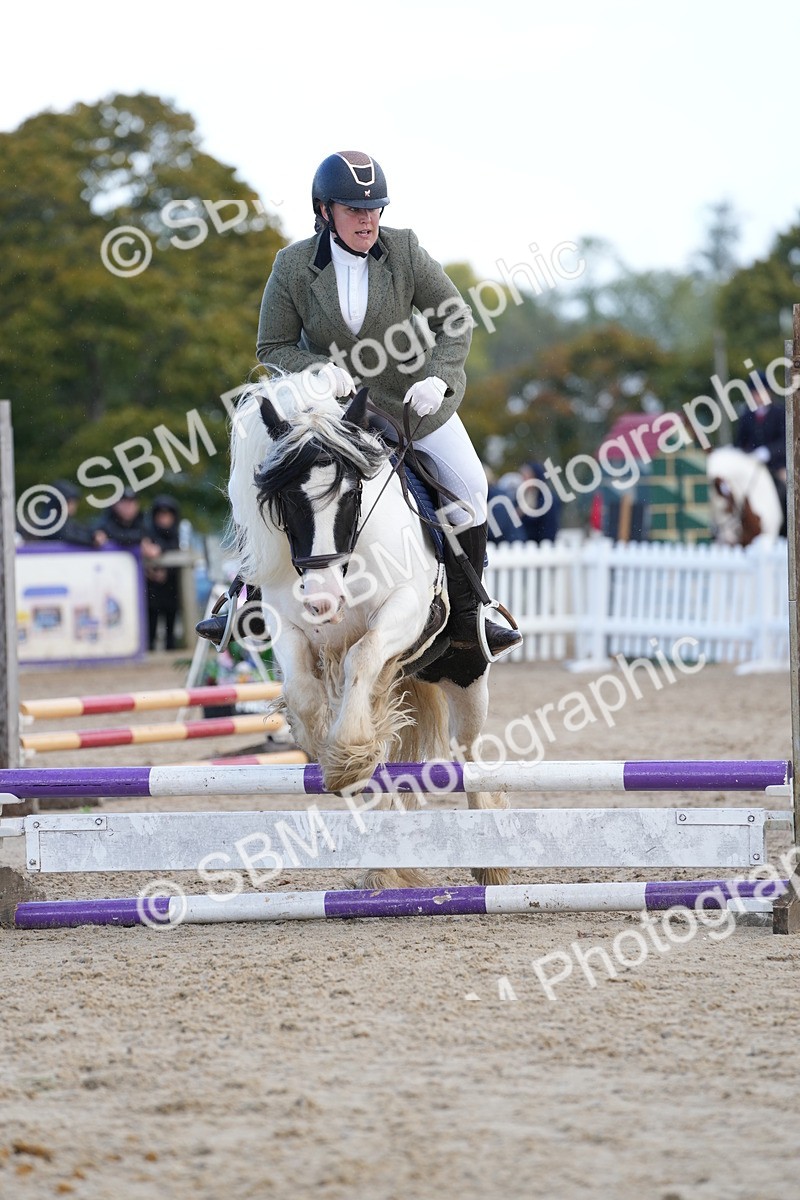 SBM_21197 - J49 - Open 50cm