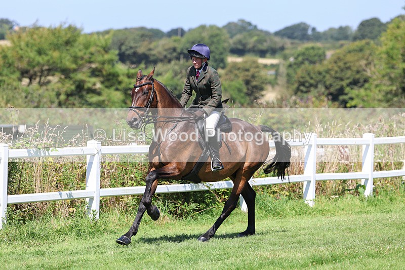 3E7A9009 - Class 6: Open Working Horse