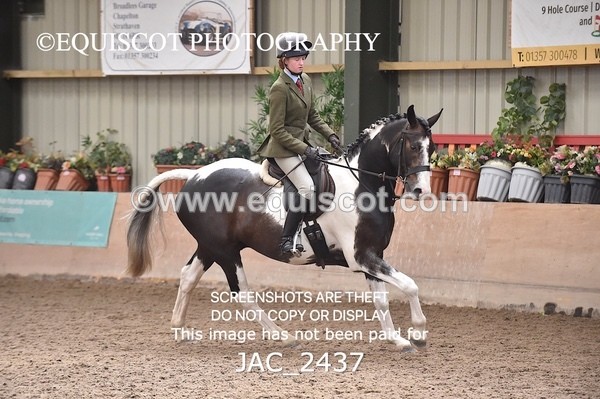 JAC_2437 - CLASS 3 Intermediate Working Hunter