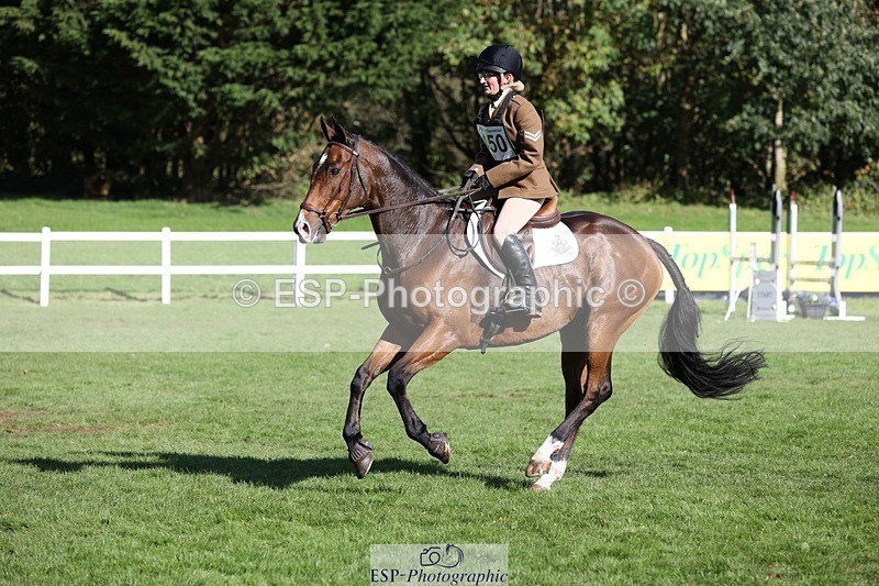 231022-125535-27412 - 450-NORDIC.FIRE-Lara.Hails-TrotUp+SJ