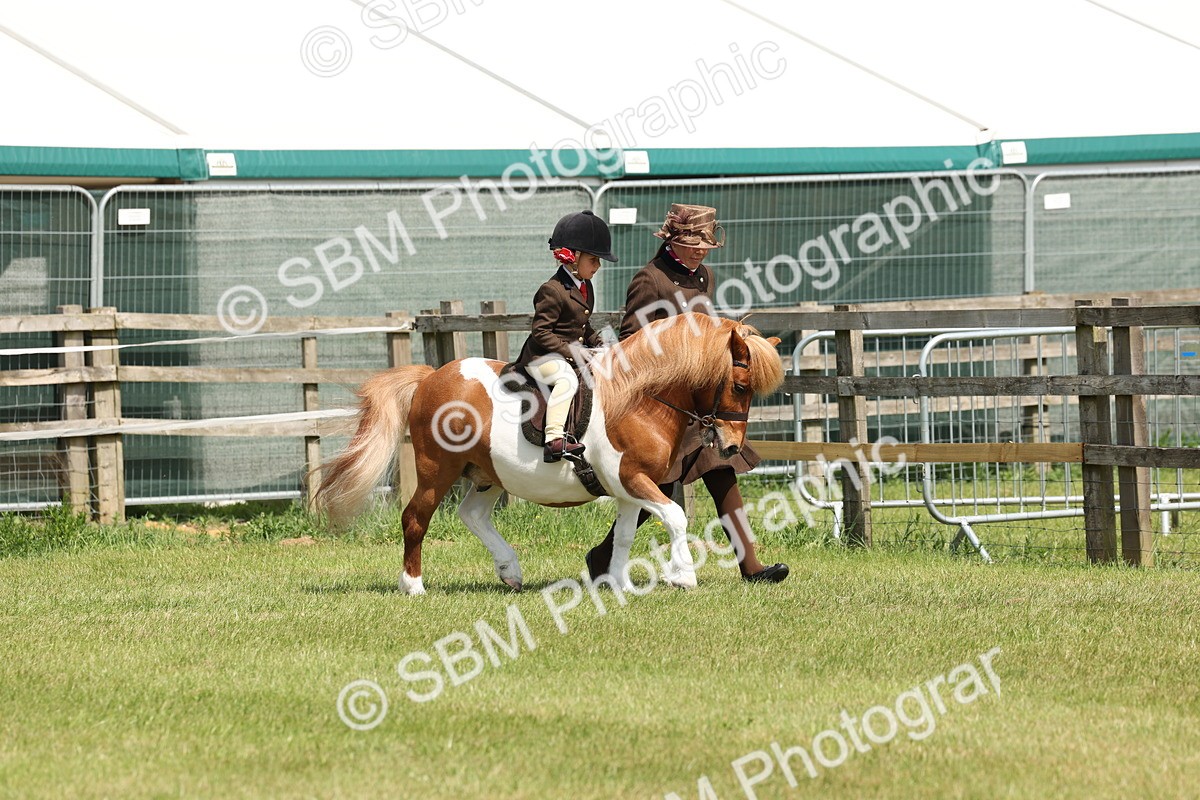 SBM_05213 - Class 24-25 - Mountain & Moorland In Hand Lead Rein and First Ridden