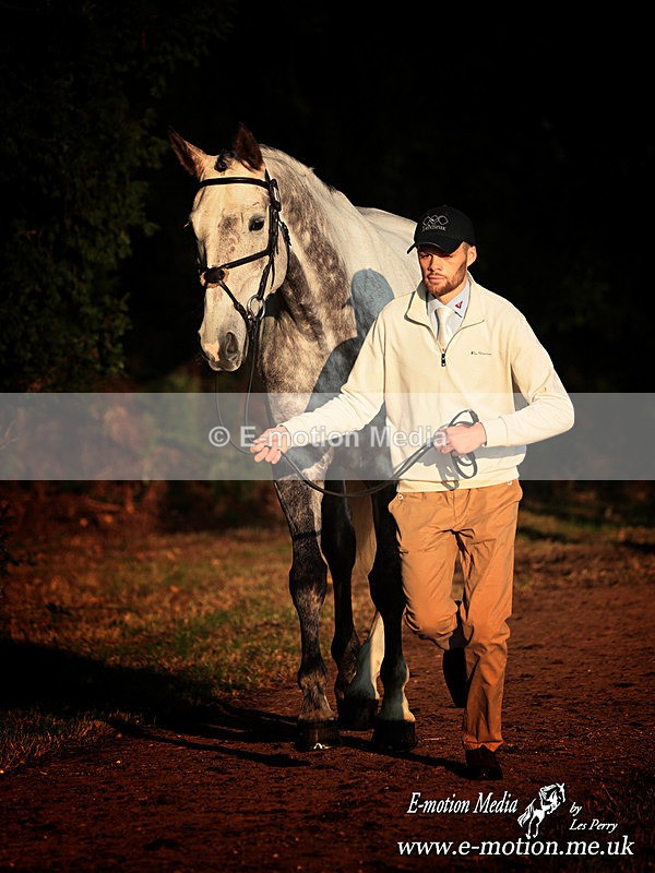 BESJ 051024 40a - Equestrian