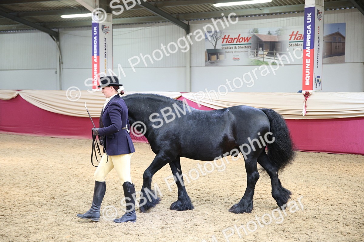 SBM_24283 - Class 905 - Supreme Final - Ridden Veteran