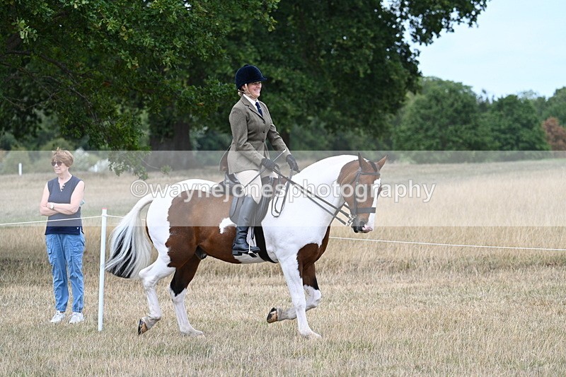 WJ7_4835 - Class 12 Ridden Cob