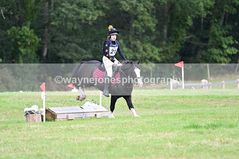 WJ7_8043 - 40cm Time 10:49 to 11:18