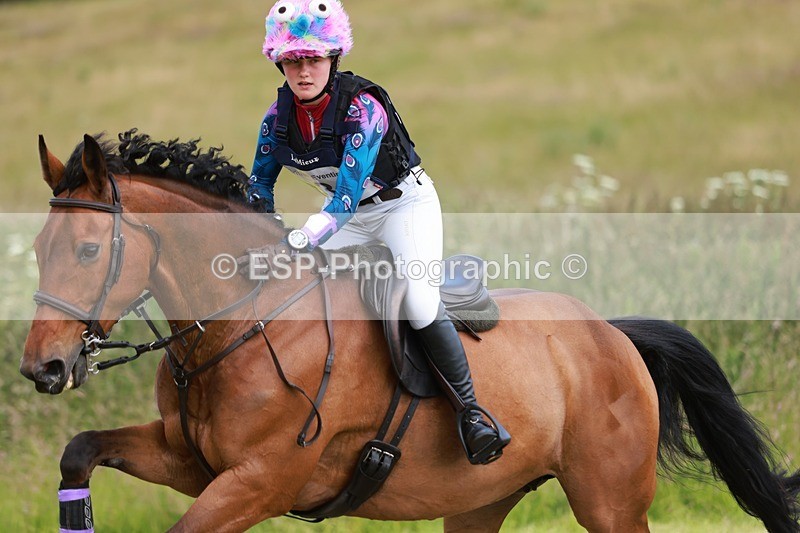 240630X-140439-7151 - 336-Tichy_Sanders-SPARHANGER_VELVET