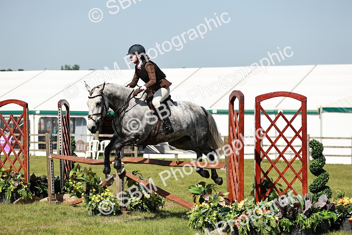 SBM_18378 - Class 112-113 - BSPS LIHS Working Sports Pony