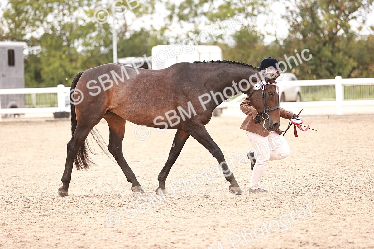 SBM_16379