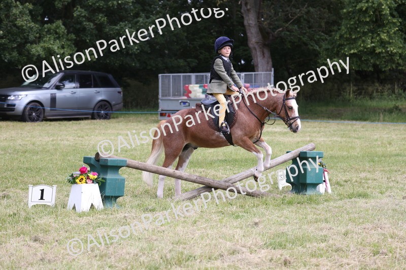 20260614-2031 - Class 21 - Novice Working Hunter Pony