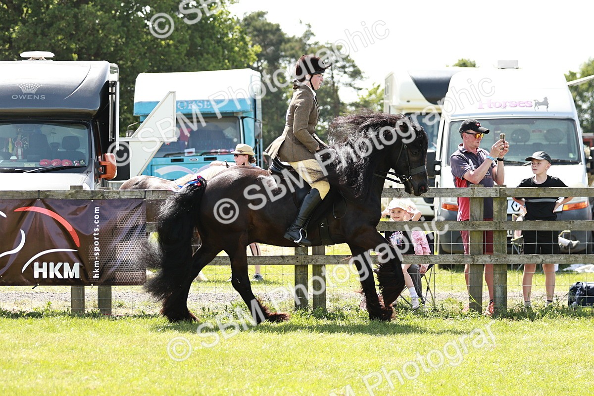 SBM_07057 - Class 26-30 - Mountain and Moorland Ridden