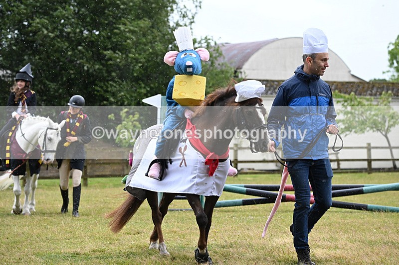 WJ6_9078 - Class 11 Fancy Dress