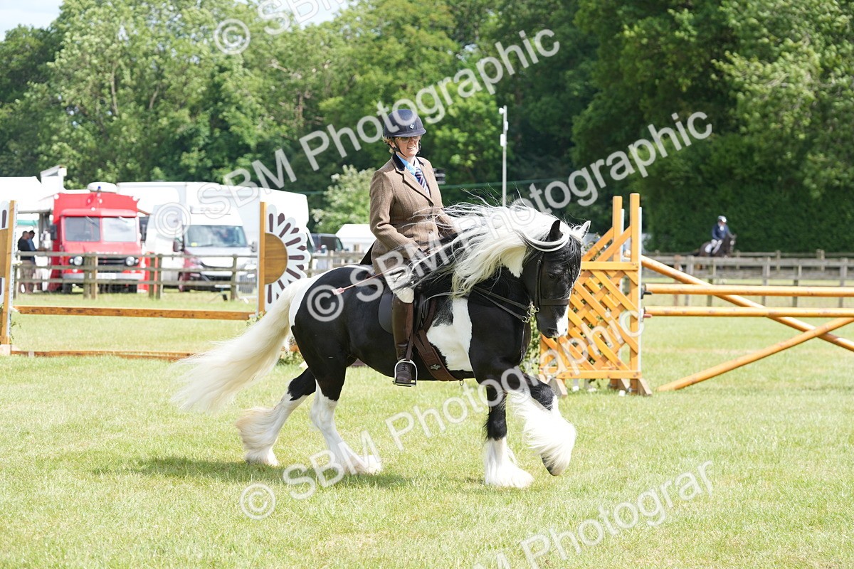 SBM_17277 - Class 107-108 - LIHS BSPS Performance Coloured Horse Pony
