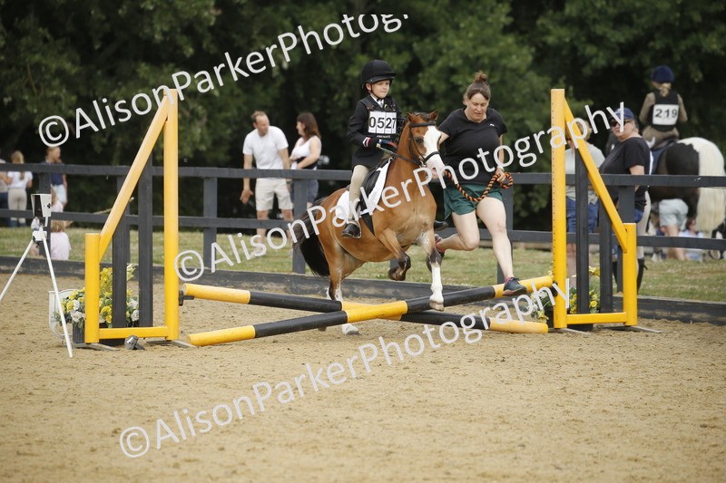 20250622-1489 - 40cm