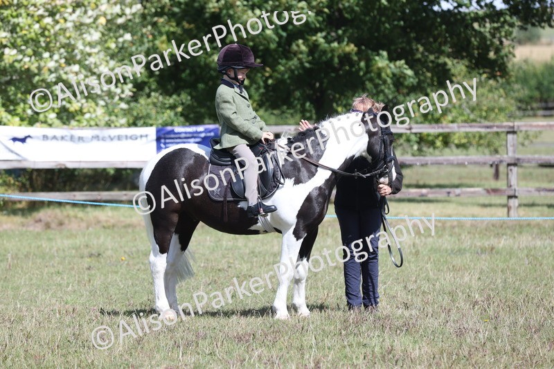 20250831-2675 - Class 17 - Lead Rein Pony