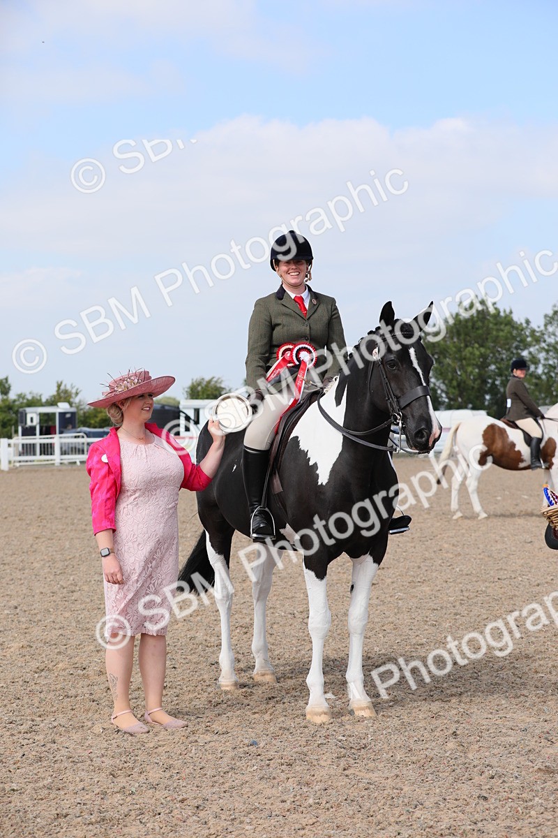SBM_13513 - Class 308 Ridden Coloured Horse