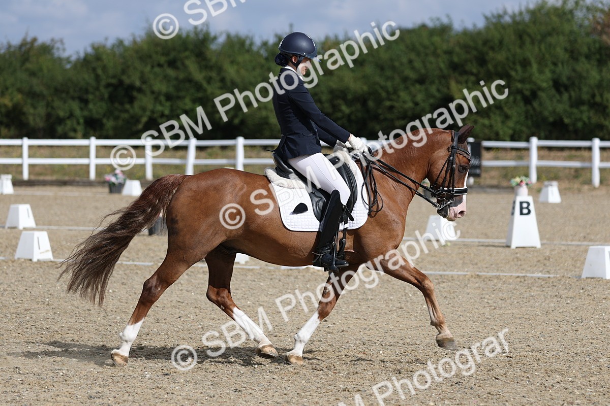 SBM_020341 - Class 21 - M5 Bronze 9.30.10.34